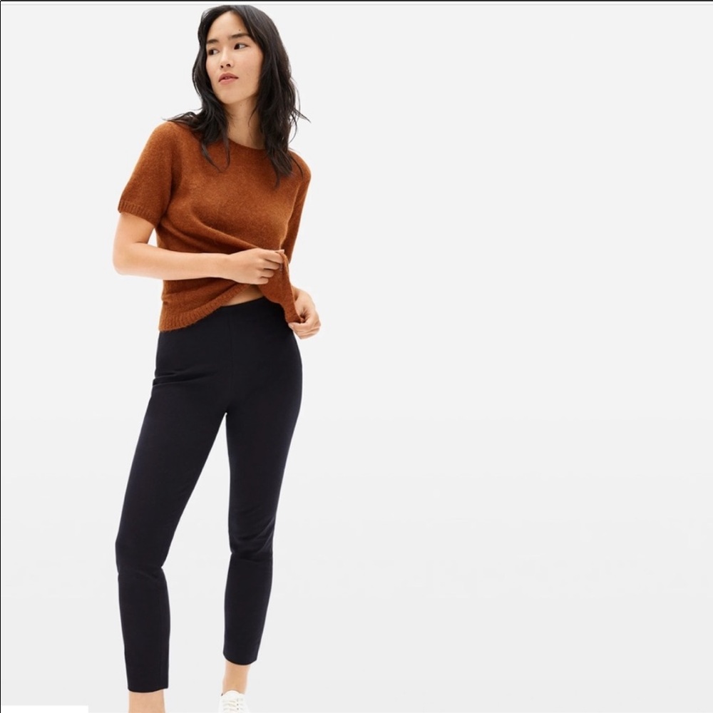 Everlane The Side Zip Work Pant